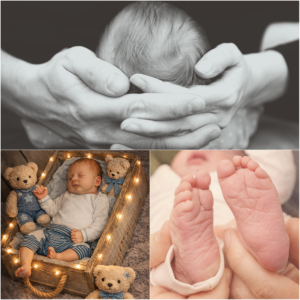 Portrait Paar Familienfotoshooting